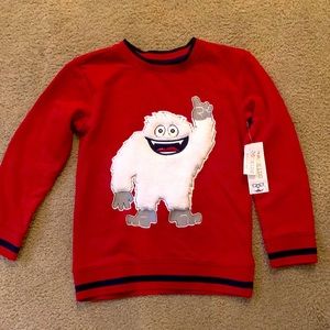 Adorable boys pull over sweatshirt
